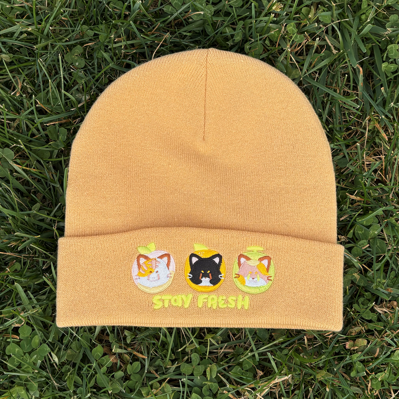 Stay Fresh Beanies