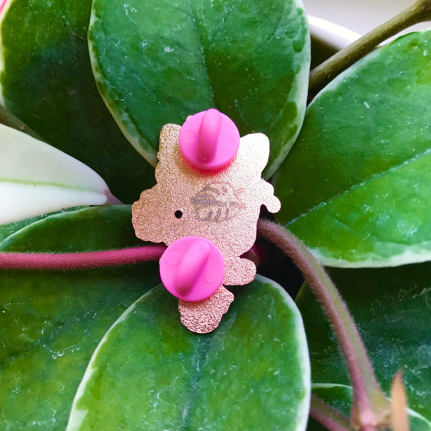 Paradox Pins Benji #269